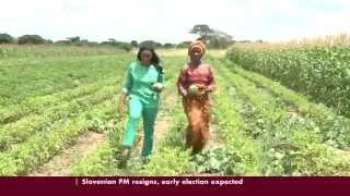 Zambian Farmer turns to Conservation Agriculture