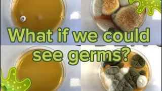What if we could see germs? 🦠 Reellife Science 🧬