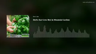 Herbs that Grow Best in Mountain Gardens