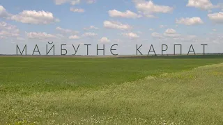 Як виникли Карпати і що чекає в майбутньому!