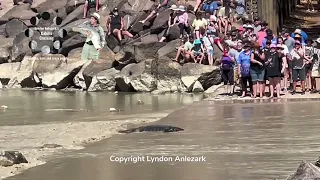 Crocodile watching at Cahill’s Crossing