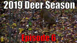 BUCKS, BEARS, AND DOGS! 2019 Deer Season- Episode 6. Bucks hitting scrapes and responding to calls