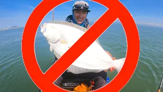 NO MORE FISHING in California...kinda