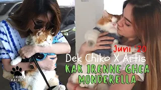 Dek Chiko & Kak Irene Ghea | Part.1. funny video music trending viral cats pets animals kucing dog