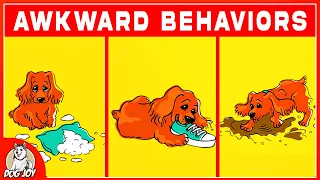 The Ultimate Guide to Understanding Your Dog's Weird Habits: Top 10 Behaviors