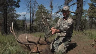 Elk Talk Live! Off-Season Activities // EP 91