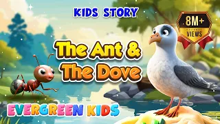 THE DOVE & THE ANT Story | Kids Moral Stories | Evergreen Publications | 2020