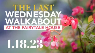 Don't Miss the Last Wednesday Walkabout at the Fairytale House || 1.18.23