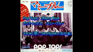 Pop Tops： ♪Mamy Blue（マミー・ブルー）　Vocal：beni9jyaku（紅孔雀）