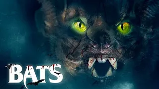 Bats | Official Trailer | Horror Brains