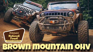 New To Off-Roading? The Brown Mountain OHV Trail System is The PERFECT Place To Get Started!