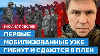 Подоляк: Россия будет воевать как кавалерия Будённого против немецких танков во Второй мировой войне