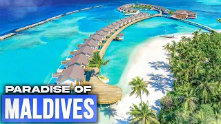 Island Paradise: The Untouched Beauty of the Maldives