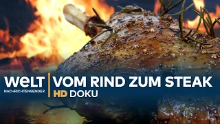 Vom Rind zum Steak - Europas größter Schlachthof | HD Doku