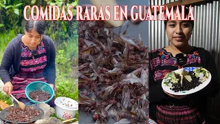 Probando HORMIGAS de Mayo comidas RARAS de Guatemala. Que sabor tendrán?