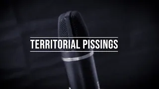 Territorial Pissings - Nirvana (Metal Cover)