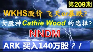 第209期：👇👇女股神Cathie Wood 的选择？👇👇 Nano Dimension，ARK 买入140万股？！👇👇Workhorse （WKHS）股价飞天 or 暴跌？ 美股投资