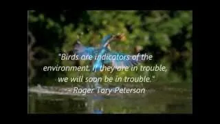 Can the rivers be saved? PSA Video feat. The Citarum River and River Thames