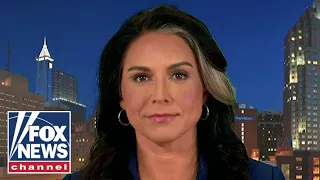 Tulsi Gabbard: The Democratic Party is tearing us apart
