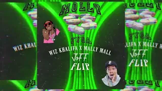 Molly - (JoFF Flip) Tyga Ft. Wiz Khalifa X Mally Mall (OUT NOW)