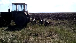 Дисковка ячменя по второму следу после бдт