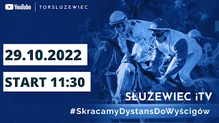 🆕 Dzień 41 🏇 Tor Służewiec ⚪️ 29 października 2022 🏆