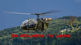 3x Alouette - 1x Lama at ENNO 2022
