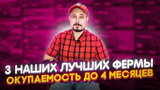 3 Наших Лучших Фермы Окупаемость До 4 Месяцев