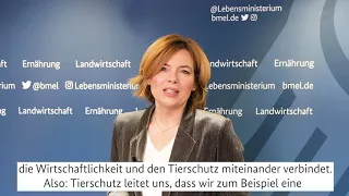 Verbot des Kükentötens kommt - Statement von Bundesministerin Julia Klöckner