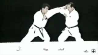 Kihon Kumite from n°4 to n°6 JKF Wado Kai