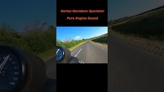 Harley-Davidson Sportster Late Afternoon Ride | Pure Engine Sound