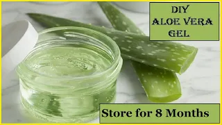 DIY Homemade ALOE VERA GEL | 100% Pure | How To Make Aloe Vera Gel And Store It For Months