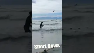 Fishermen Risk Their Lives Wading Into Shark Infested Waters To Rescue The Huge Predators