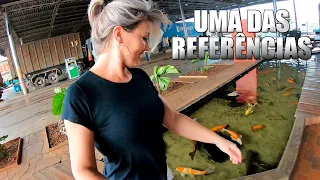 UMA DAS REFERÊNCIAS