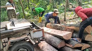 Saw mahogany this morning using a self-assembled serkel saw