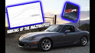 Getting the Most From Your Mazdaspeed Miata (Megasquirt Install)