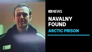 Jailed Russian opposition politician Alexei Navalny moved to prison in the Arctic | ABC News