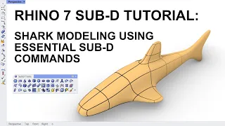 Rhino 7 Tutorial: Modelling a shark using essential Sub-D commands