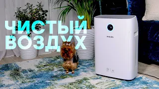 Обзор климатического комплекса Philips AC2729/51