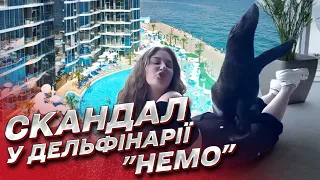 ❗️ Скандал у дельфінарії "Немо" в Одесі: морських котиків здавали в "оренду"!