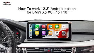 How to work 12.3“ Android Display For BMW X5 X6 F15 F16  with Apple Car play