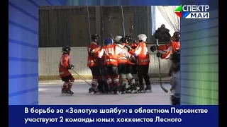 В борьбе за «Золотую шайбу»: в областном Первенстве участвуют 2 команды юных хоккеистов Лесного