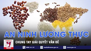 Chung tay giải quyết vấn đề an ninh lương thực toàn cầu - Thế giới hôm nay - VNEWS