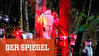 Asiatische Riesenhornissen: Kampf gegen ein Nest | DER SPIEGEL