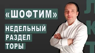 Недельный раздел Торы: Шофтим | Как не проспать свой потенциал на будущий год? / Судьи и полицейские