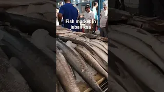 bulk of fish in jubail fishmarket