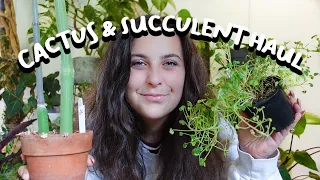 Cactus & Succulent Haul | The Cactus Shop Haul 2021