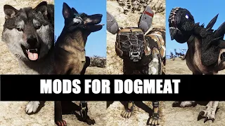 Fallout 4 | Seven Great Dogmeat Mods