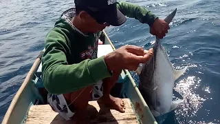 MANCING TENGGIRI || DAPAT SAMBARAN GIANT TREVALLY (GT) PERLAWANAN YANG LUAR BIASA