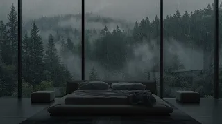 Rainfall Meditation - Sleep Better with Nature's Symphony | Foggy Pine Forest On Rainy Day
